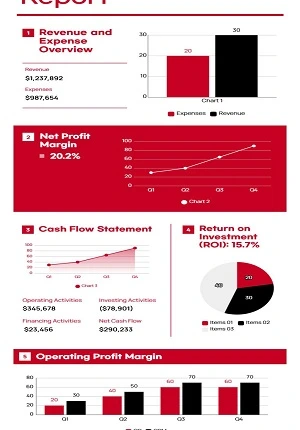 اینفوگرافیک گزارش عملکرد