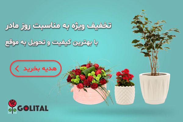 بنر تخفیف روز مادر